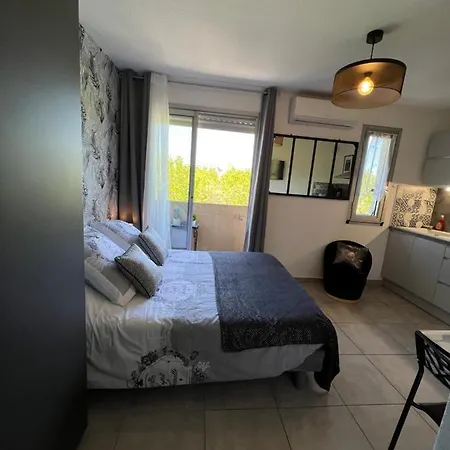 Le Monica 3* נרבון